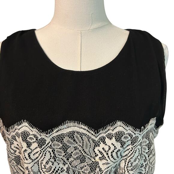 YA Los Angeles Dress Silk Blend Black Sheer w/ Lace Lining Med Sleeveless - Picture 3 of 11